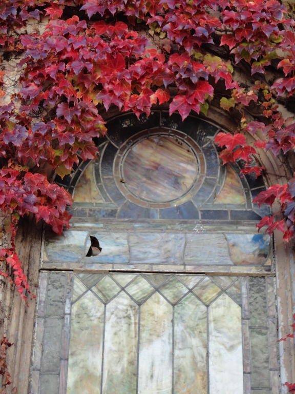 Church Des Artistes 킹스턴 객실 사진